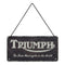 Triumph Hanging Sign